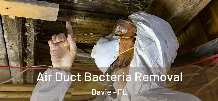  Air Duct Bacteria Removal Davie - FL