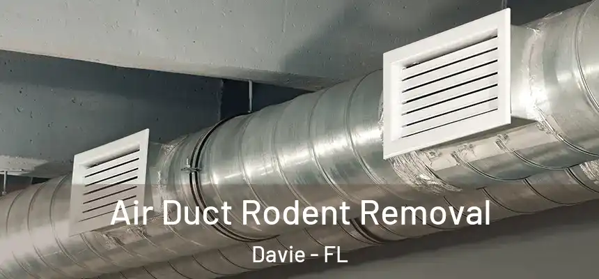 Air Duct Rodent Removal Davie - FL