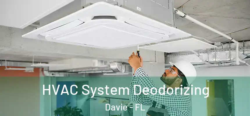  HVAC System Deodorizing Davie - FL