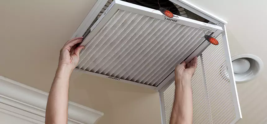 Preventive Cockroach-Proofing for Ducts in Davie