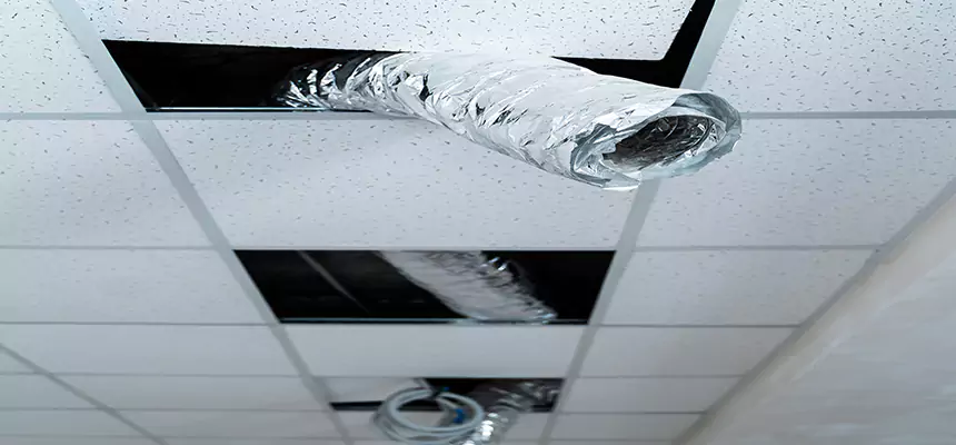 Affordable HVAC Sanitizing After Pest Removal in Davie