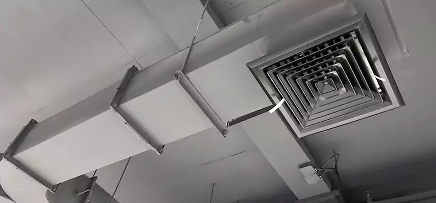 Restorative Allergy Relief Vent Cleaning – Coil, Blower & Housing Detail in Davie