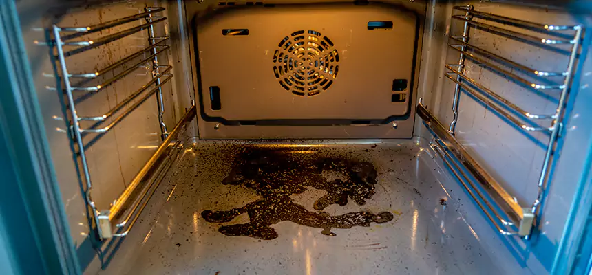 Our Dryer Vent Mold Cleaning Services in Davie, FL