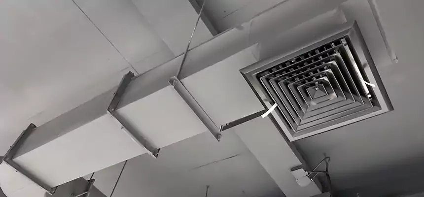 Our Pest Removal From Ducts Services in Davie, FL