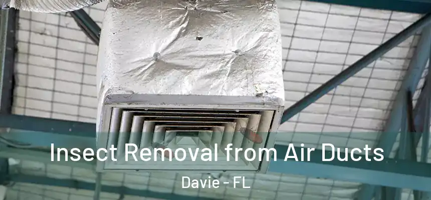  Insect Removal from Air Ducts Davie - FL