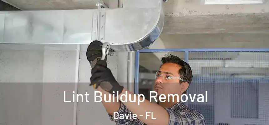  Lint Buildup Removal Davie - FL