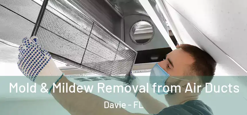  Mold & Mildew Removal from Air Ducts Davie - FL