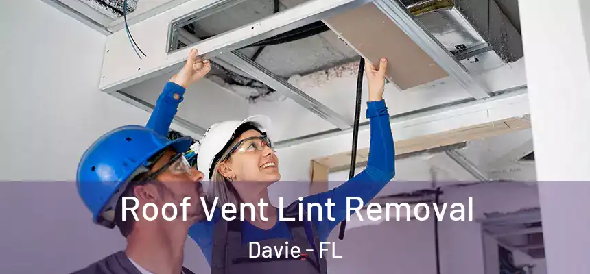  Roof Vent Lint Removal Davie - FL