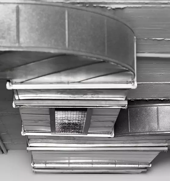 Professional Air Duct Pest Removal in Davie, FL