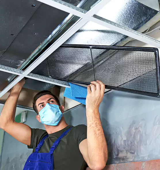 Professional Air Duct Pollen Cleaning in Davie, FL