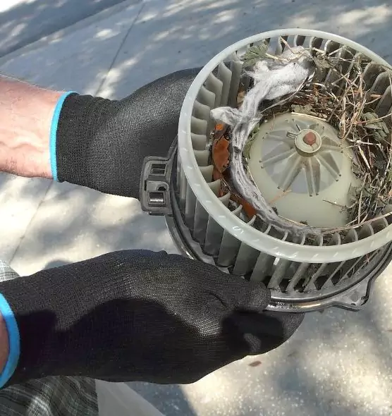 About Air Duct Rat Removal in Davie, FL