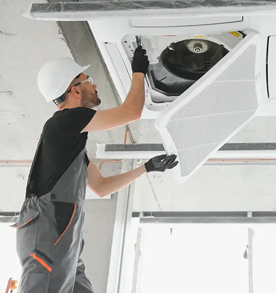 About Air Duct Rodent Removal in Davie, FL