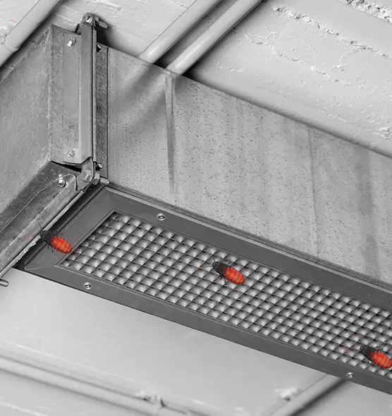 Affordable Insect Removal from Air Ducts in Davie, FL