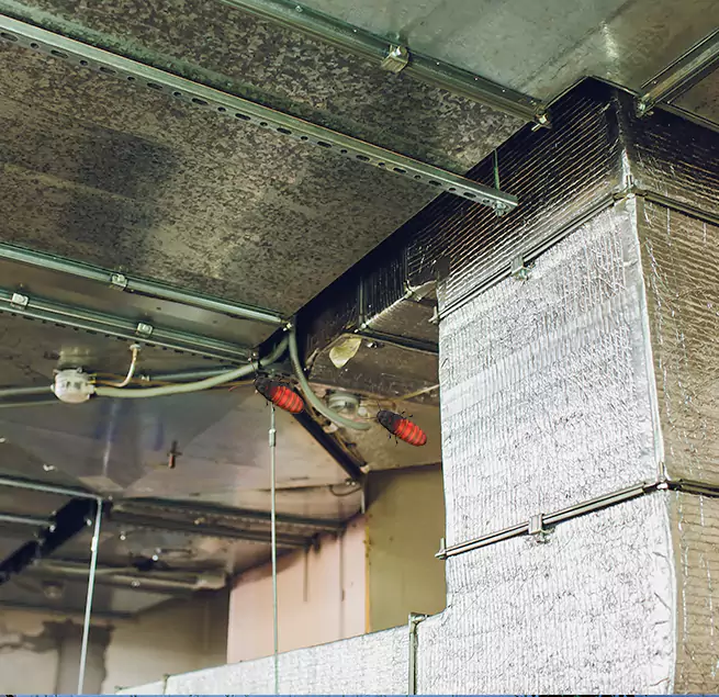 Why Homeowners & Businesses Trust Us in Davie, FL?