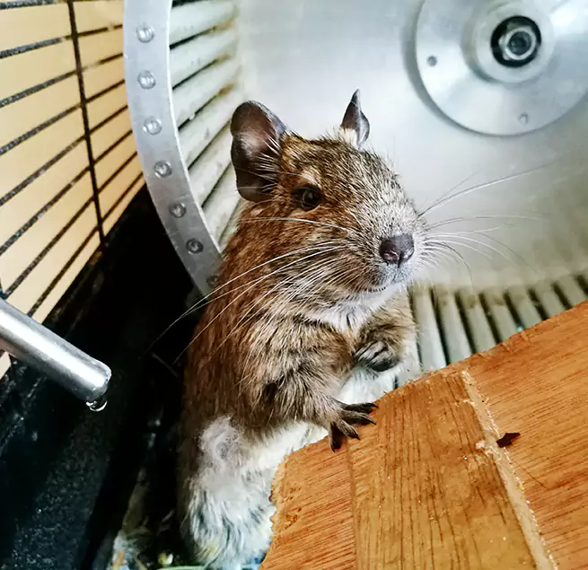 Why Homeowners & Businesses Trust Us Davie, FL?