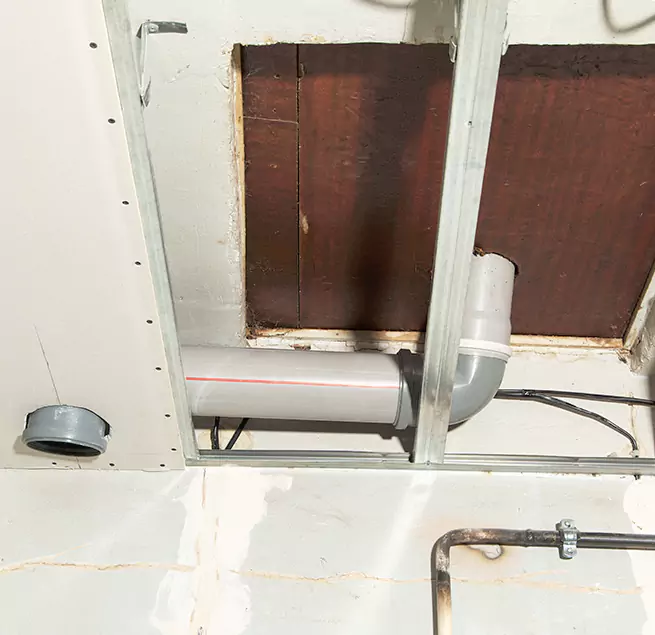 Why Homeowners & Businesses Trust Us in Davie, FL?