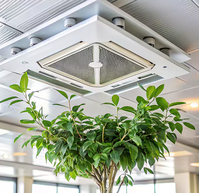 Why Homeowners & Businesses Trust Us in Davie, FL