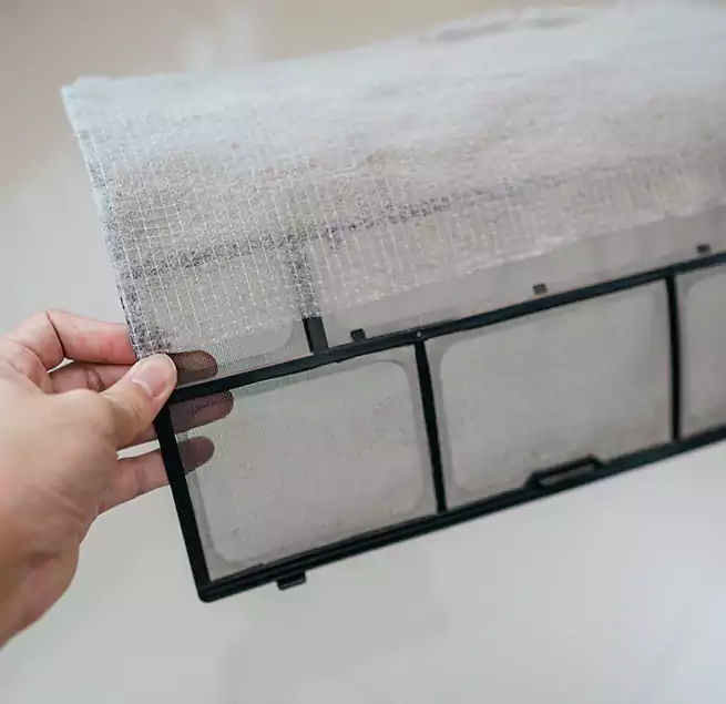 Why Homeowners & Businesses Trust Us in Davie, FL?