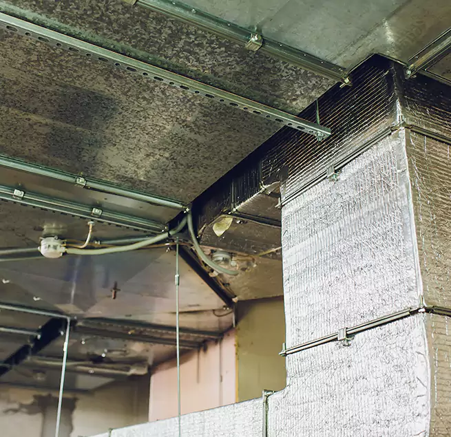 Why Homeowners & Businesses Trust Us in Davie, FL?