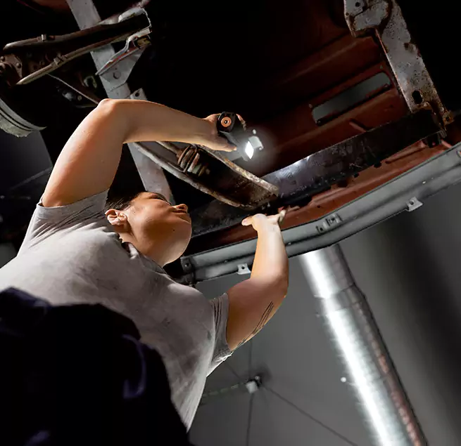 Why Homeowners & Businesses Trust Us Davie, FL