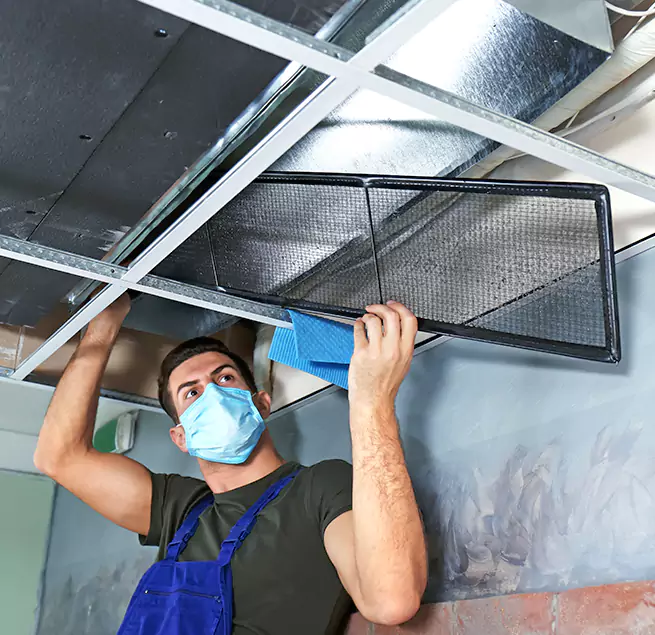 Why Homeowners & Businesses Trust Us in Davie, FL?